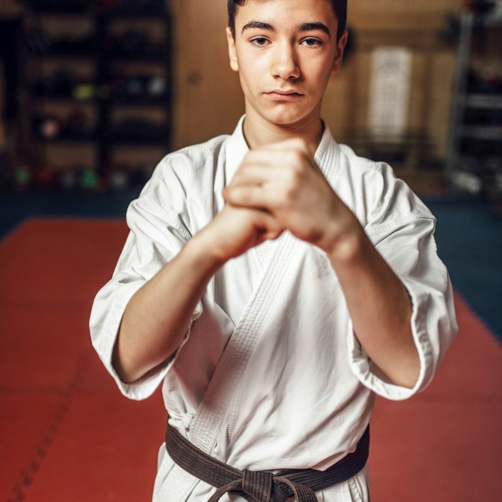 Martial arts, young fighter making respect sign